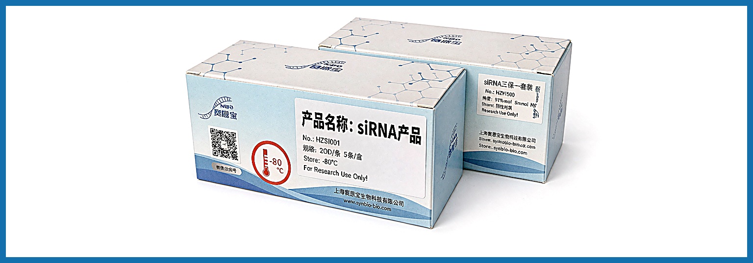 miRNA mimics / inhibitors