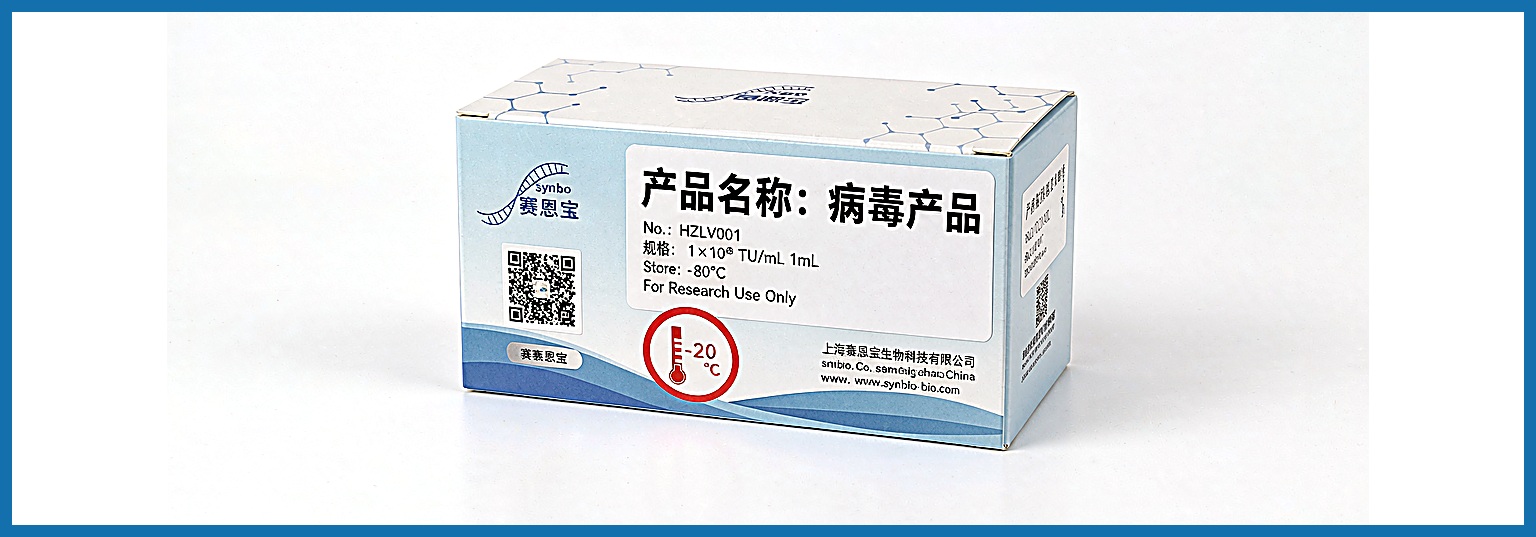 shRNA 慢病毒三保一