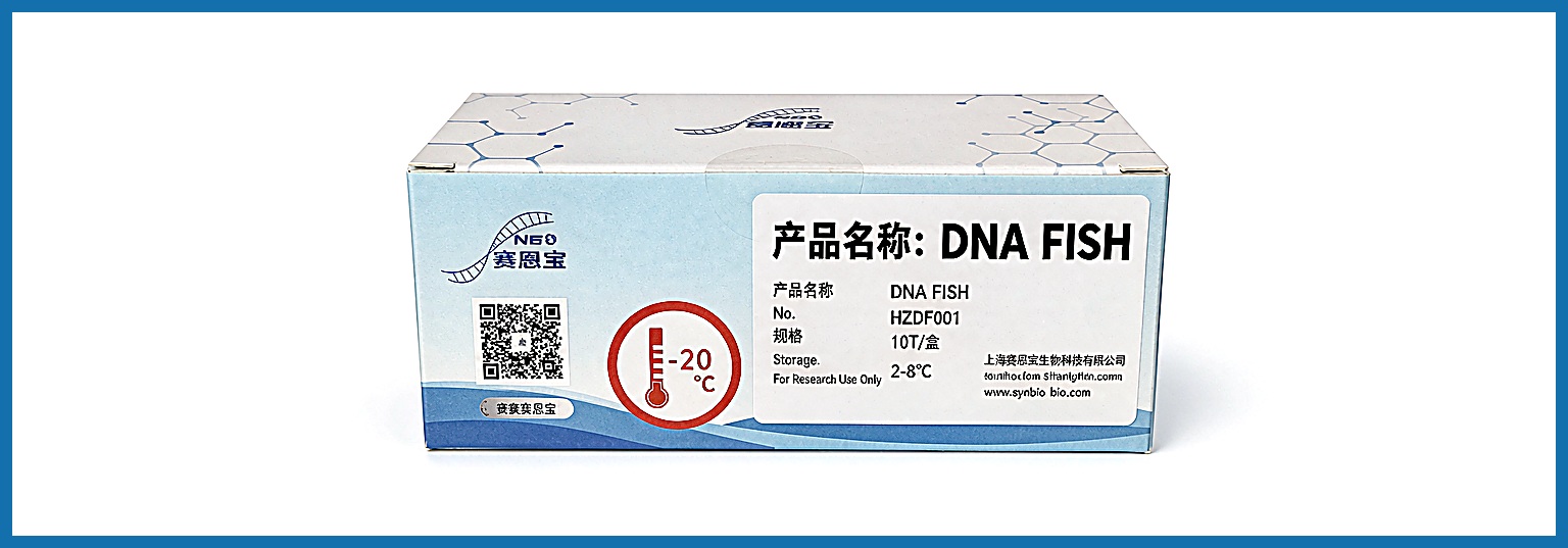 DNA FISH